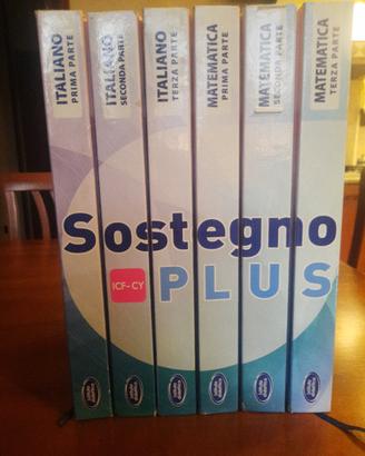 Guida didattica per l'insegnamento del sostegno 