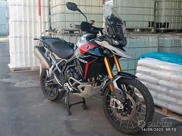 Triumph Tiger rally pro