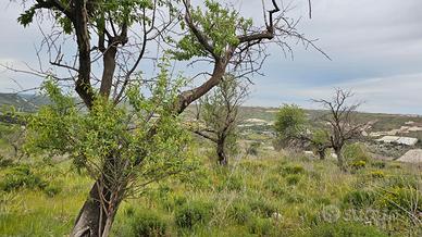 Terreno energie rinnovabili