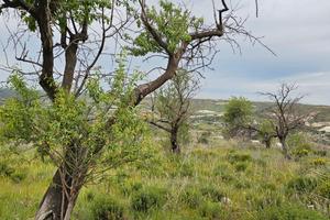 Terreno energie rinnovabili