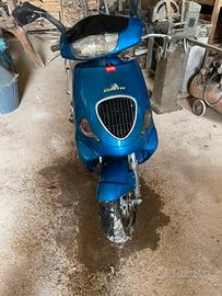 Aprilia gulliver