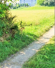 Terreno agricolo 4300 mq