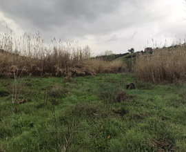 Terreno agricolo