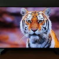 Smart TV Samsung 43" 4K (Modello AU8000)