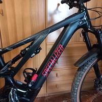 Specialized Aloy