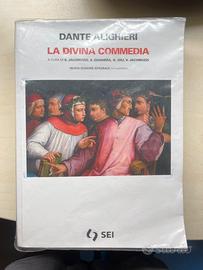 Libro delle divina commedia