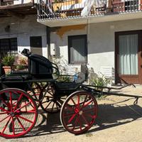 Attrezzatura cavallo