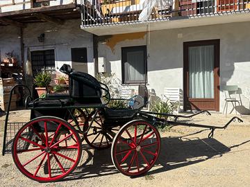 Attrezzatura cavallo