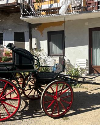 Attrezzatura cavallo