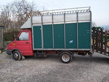 Van trasporto cavalli