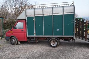 Van trasporto cavalli