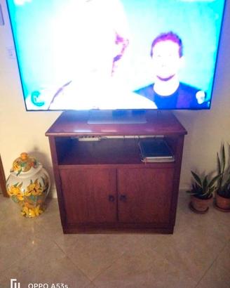 Mobile tv