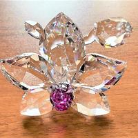 Swarovski, ORCHIDEA