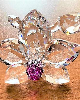 Swarovski, ORCHIDEA
