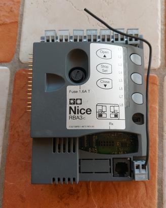 scheda nice