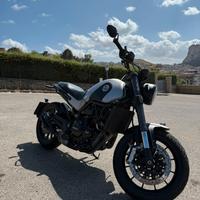 Benelli Leoncino 500