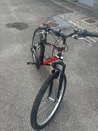 mountain bike casadei tg 40 