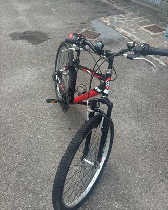 mountain bike casadei tg 40 