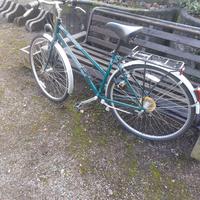 Bicicletta Newport Freewheeling