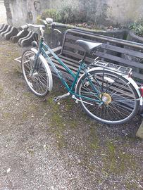 Bicicletta Newport Freewheeling