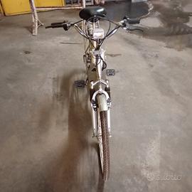 Bicicletta elettrica 