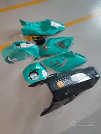 carene da pista BMW s1000rr 2010