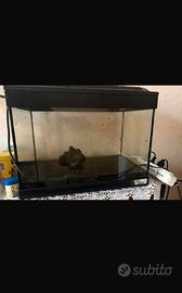 Acquario 30 litri