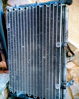 radiatore fiat