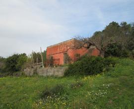 Terreno agricolo con fabbricato Motta SA - rif 16m