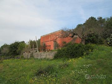 Terreno agricolo con fabbricato Motta SA - rif 16m