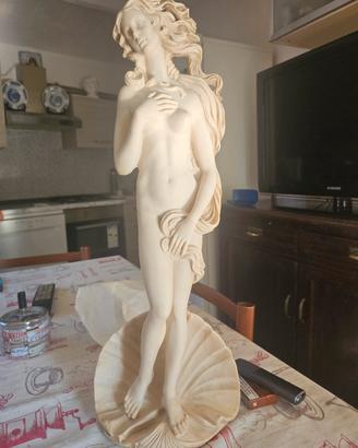 statua 