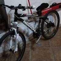 Bicicletta bianchi da donna