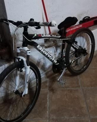 Bicicletta bianchi da donna