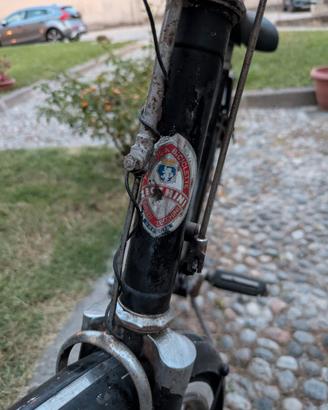 bicicletta 