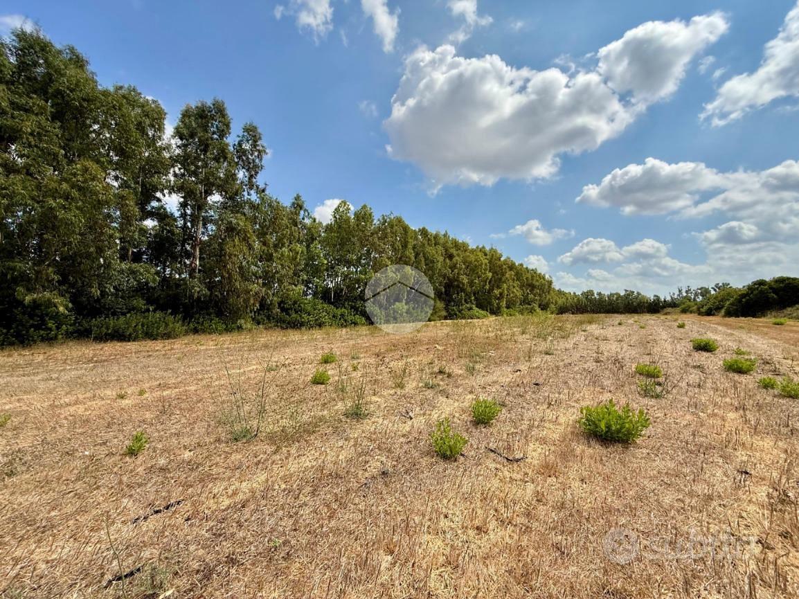 TER. AGRICOLO A ALGHERO - Vista 2