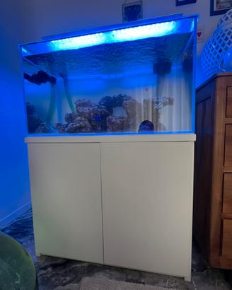 Acquario Marino completo avviato 225 lt