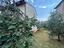 Immagine 18