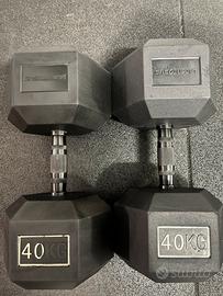 Manubri esagonali 40kg Lacertosus