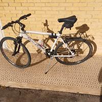 citybike uomo 28 pollici