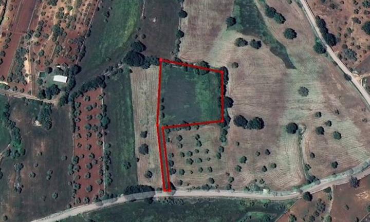 Terreno agricolo a Alberobello