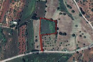 Terreno agricolo a Alberobello