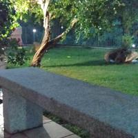 Grazioso bilocale San Teodoro