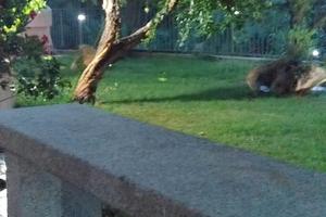 Grazioso bilocale San Teodoro