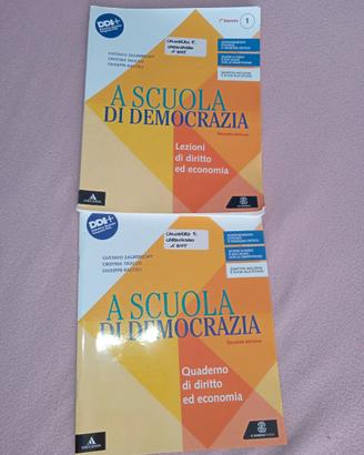 Libro di diritto come nuovo