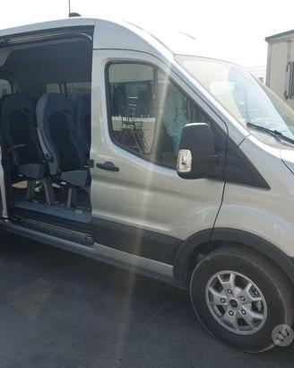 Minivan Ford Transit 9 pos. (allestimento disabli)