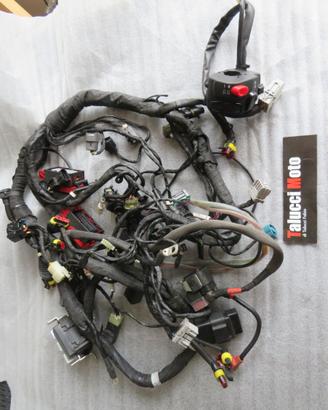 Ricambi originali Mv Agusta brutale