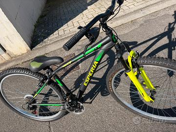 Bicicletta uomo