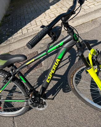 Bicicletta uomo