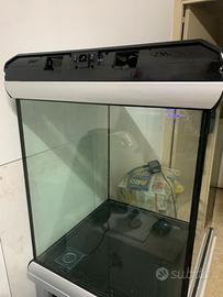 Acquario 300 litri