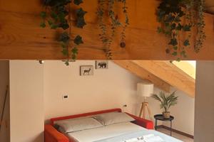 Appartamento turistico VAL DI RABBI, VAL DI SOLE